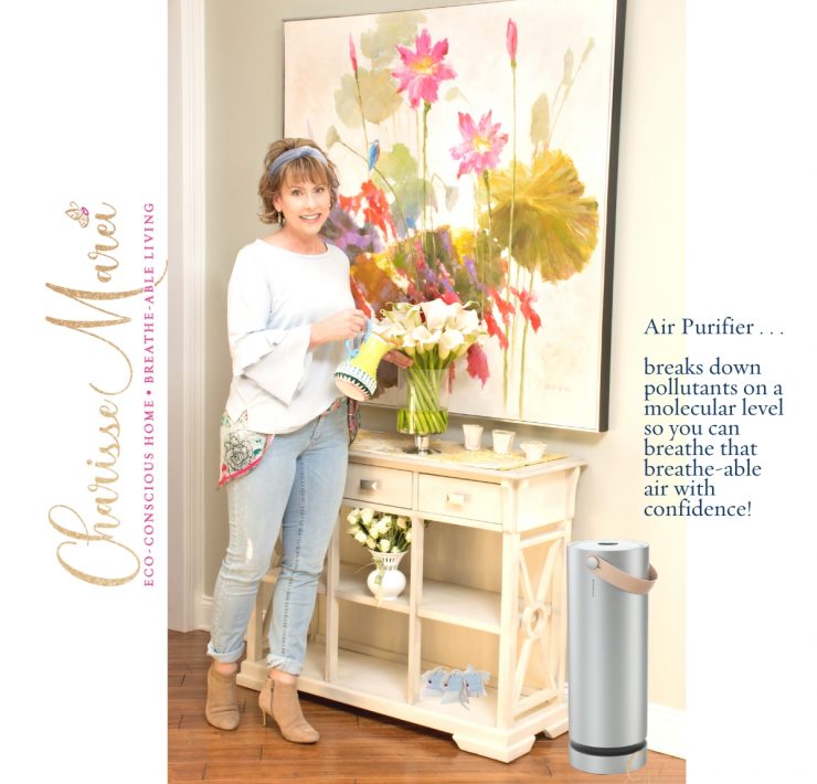 Airpurifier_charisseMarei