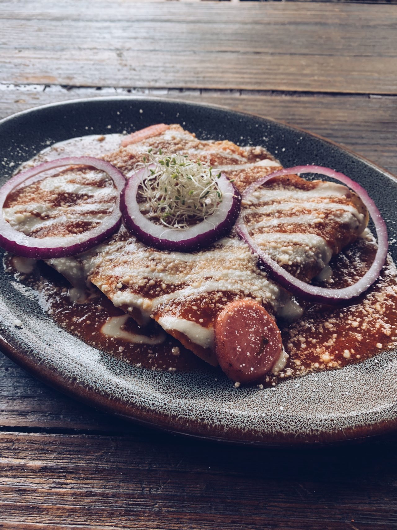 Vegan enchiladas Mexico City