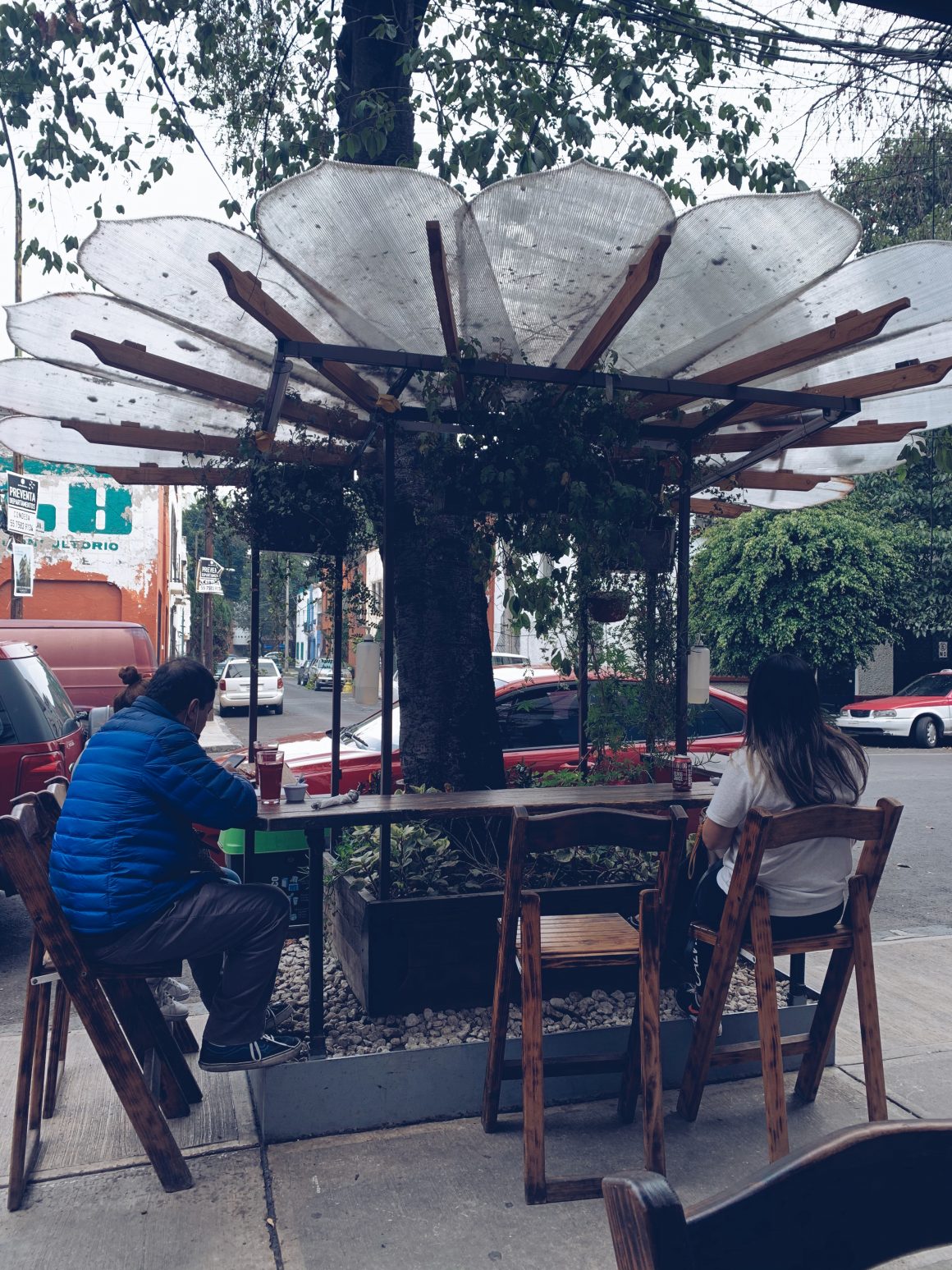 vegan restaurant Mexico City