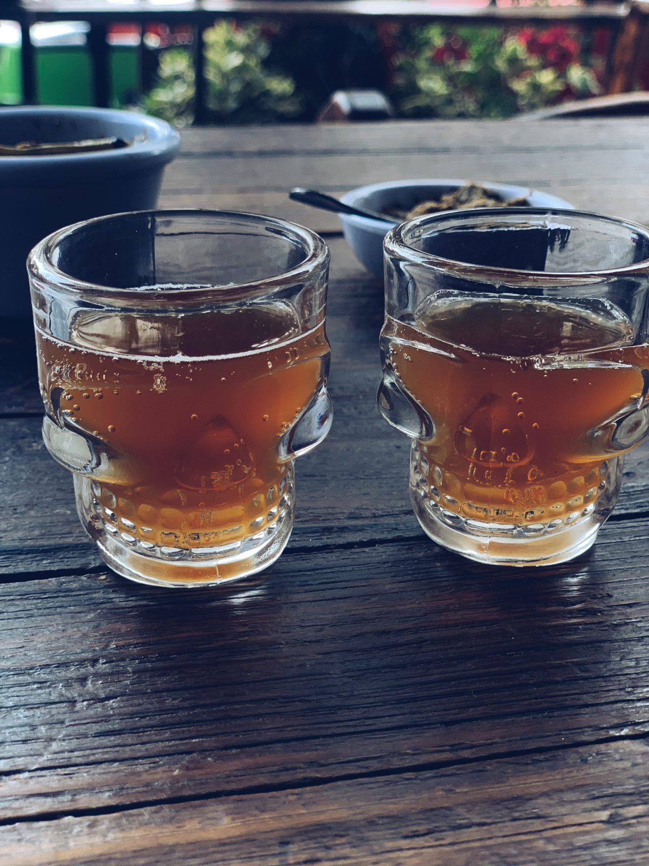 Kombucha Mexico City