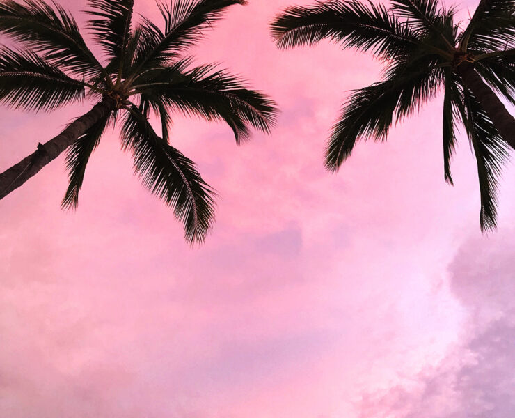 Punta Mita Mexico Palm Trees Sunset