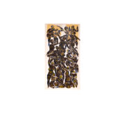 Child of God Cover Art