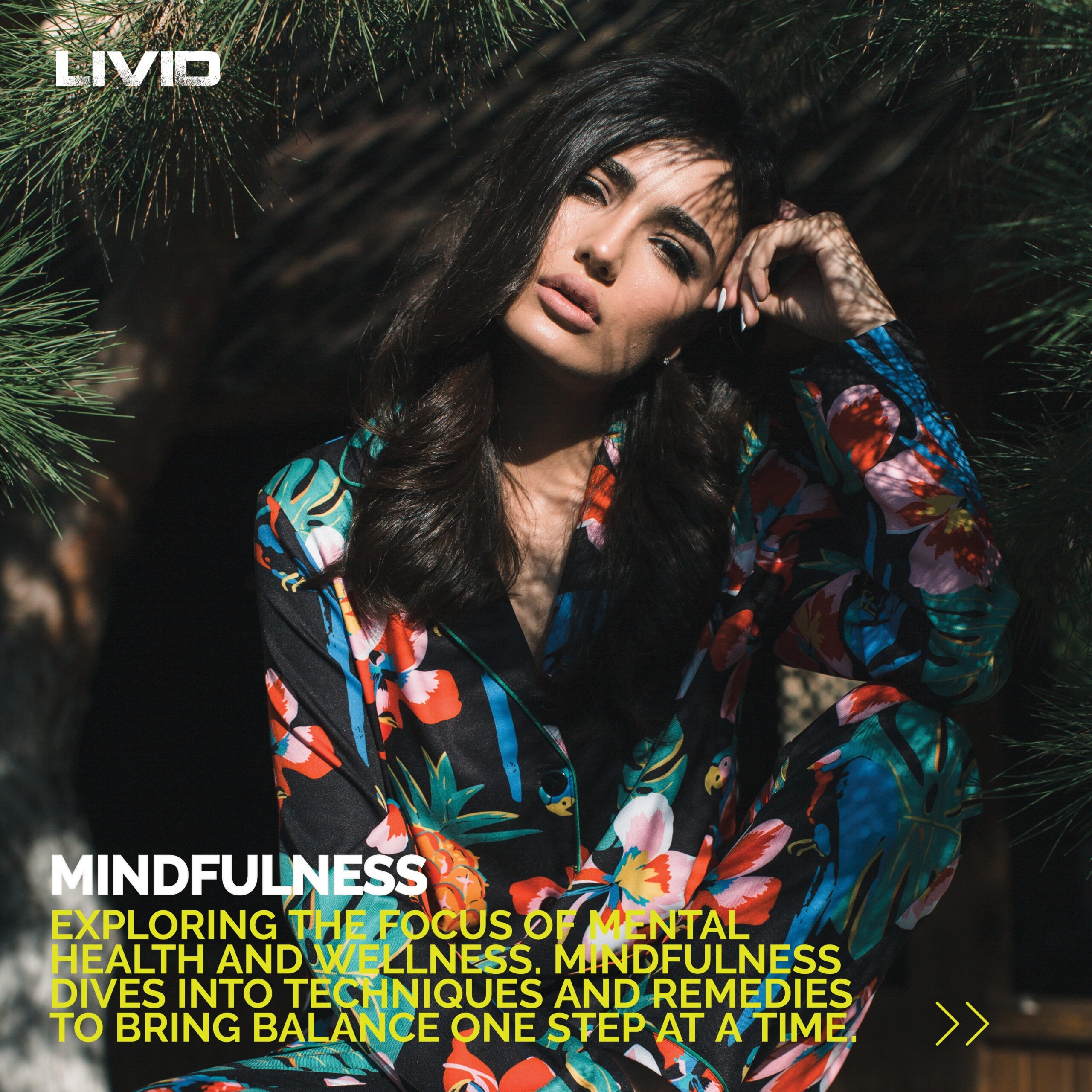 Contribute - Submission - Feature