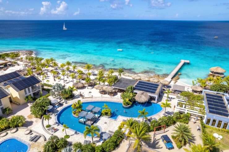 Delfins Bonaire