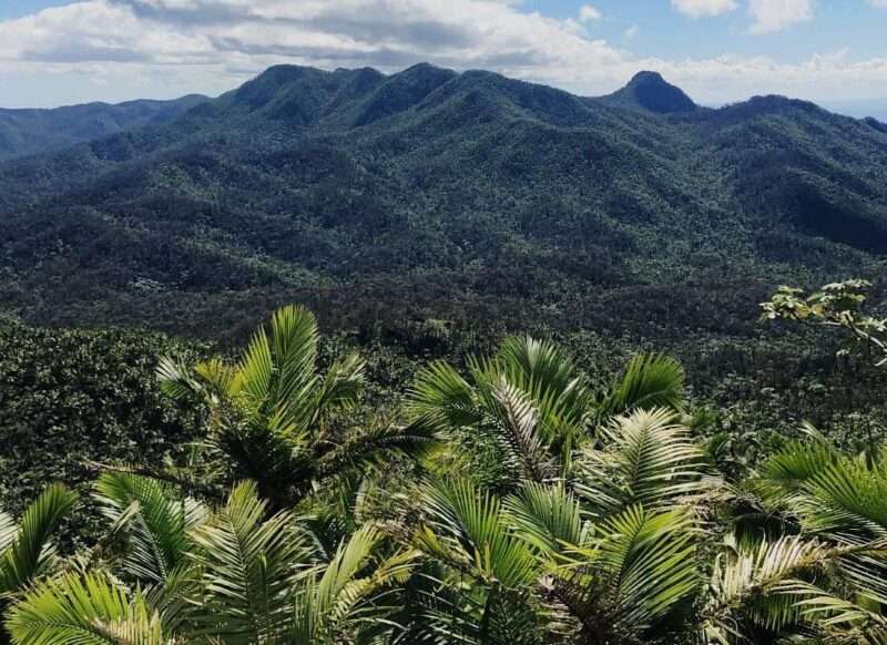 Wyndham Rio Mar in Puerto Rico Rainforest