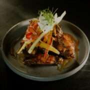 SuLuna Wings